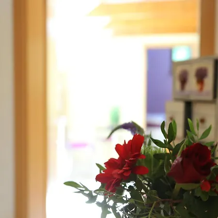 Apartament In Freital, Dresden Freital