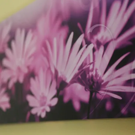 In Freital, Dresden Apartament Freital