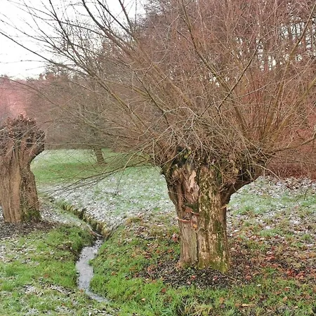 Apartament In Freital, Dresden *