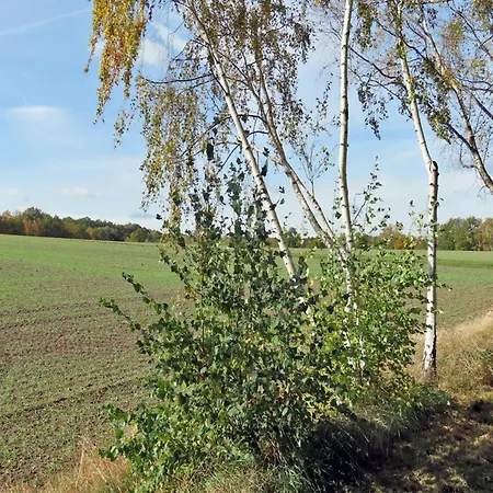 Apartament In Freital, Dresden *